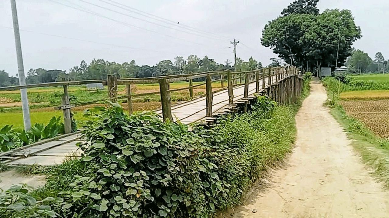 বাশঁ ও কাঠের নির্মিত সাঁকো