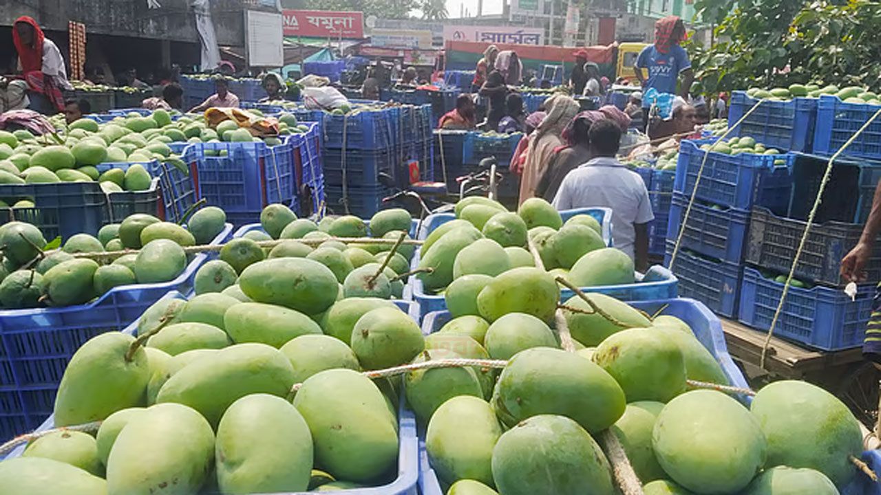 রাজশাহীর অর্থনীতি মূলত আমকেন্দ্রিক। প্রতি বছর মে থেকে আগস্ট মাস পর্যন্ত আমকে কেন্দ্র করে পুরো জেলায় উৎসবমুখর পরিবেশ সৃষ্টি হয়।
